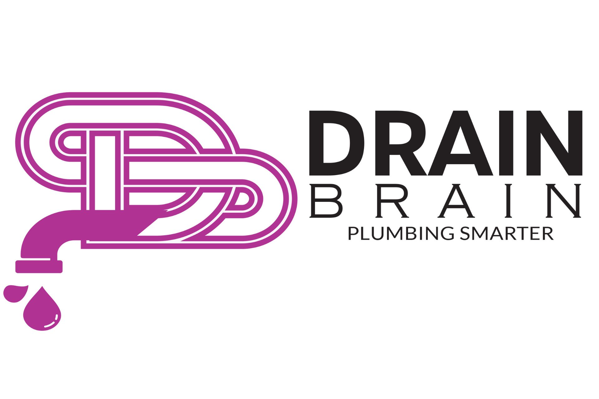 drain brain winnipeg logo